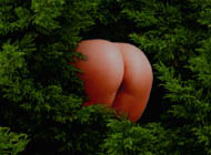 Ass in Woods - porno game